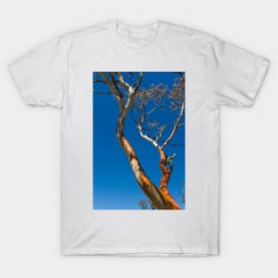 Gum 1 T-Shirt